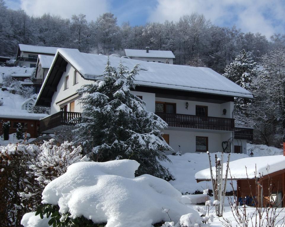 Apartamento Haus Mittelberg Olsberg Habitación foto