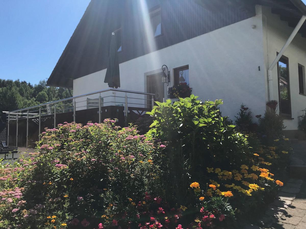 Apartamento Haus Mittelberg Olsberg Exterior foto